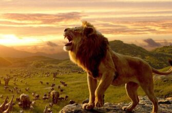 Дата выхода Муфаса: Король лев